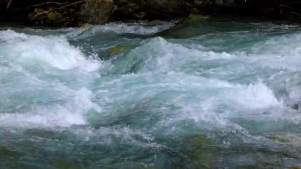 Eau de rivière de montagne au ralenti gros plan 