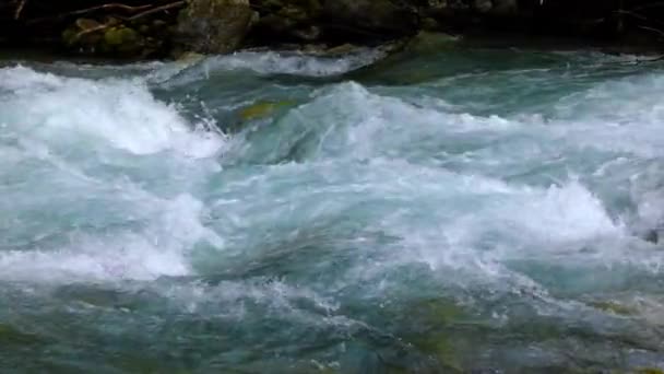 Горная речная вода с медленным движением крупным планом — стоковое видео