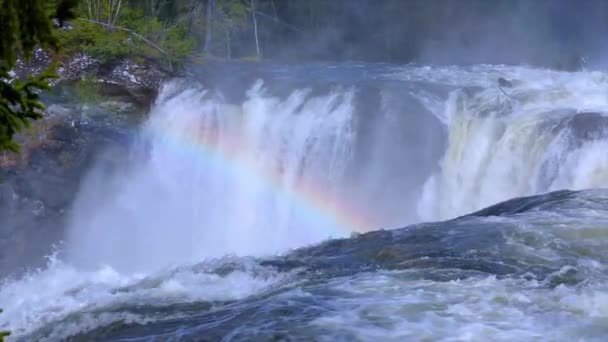 Cámara lenta de vídeo ristafallet cascada en la parte occidental de Jamtland está catalogado como una de las cascadas más bellas de Suecia . — Vídeos de Stock