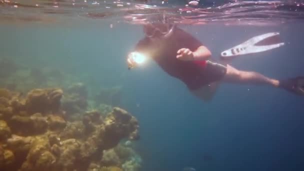 Snorkeler diving along the brain coral with flashlight Coral reef in the Maldives — Stock Video