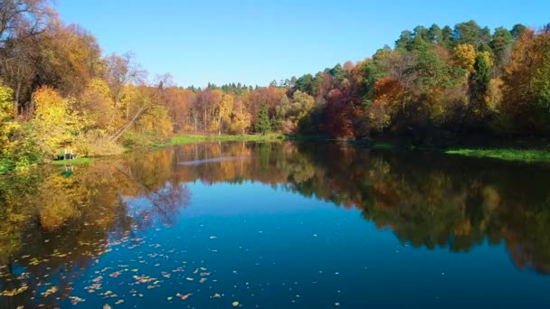 Bosque de otoño colorido en el lago — Vídeos de Stock