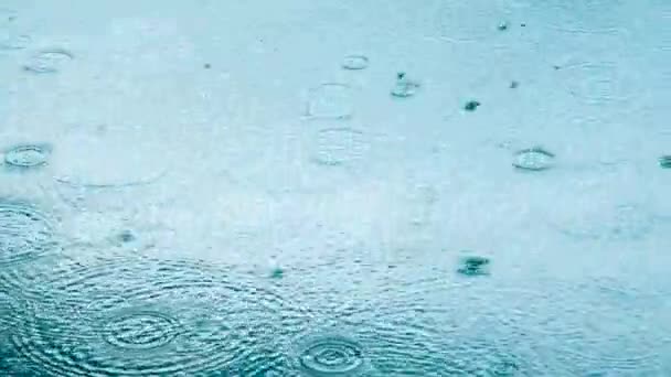 Abstracte achtergrond, regendruppels op het water — Stockvideo