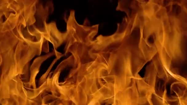 Φλόγες φωτιάς σε μαύρο φόντο σε αργή κίνηση — Αρχείο Βίντεο
