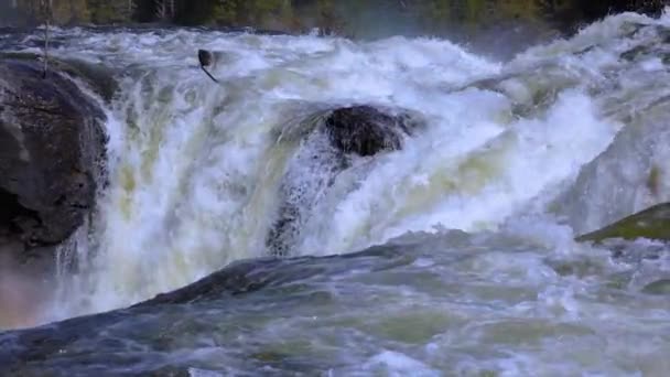 Eau de rivière de montagne au ralenti gros plan — Video