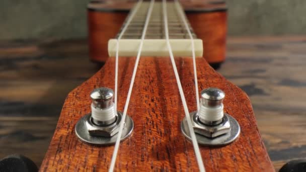 Ukulele Neck Fingerboard close-up. — Stock Video