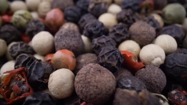 Μακρο-κοντινοί μικτοί κόκκοι πιπεριού. Στεγνοί κόκκοι πιπεριού — Αρχείο Βίντεο