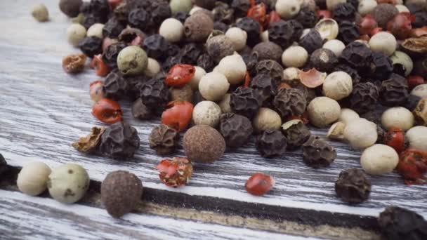 Macro close-up Mixed peppercorns. Dry mix peppercorns close up — Stock Video