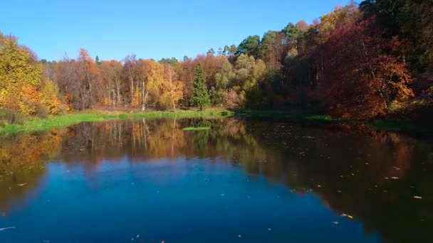 湖の上のカラフルな秋の森の木 — ストック動画