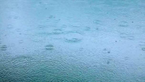 Abstraktní pozadí, kapky deště na vodu — Stock video