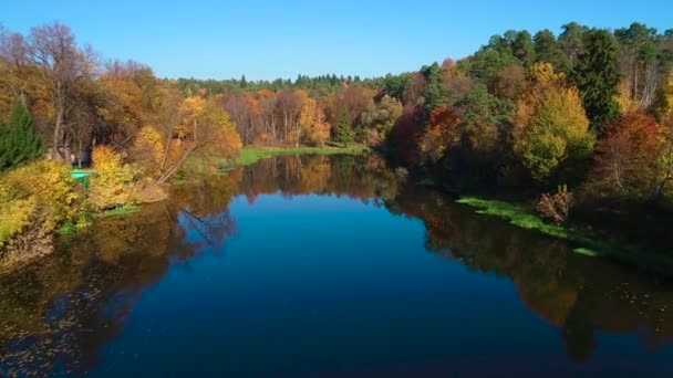 Барвистий осінній ліс на озері — стокове відео