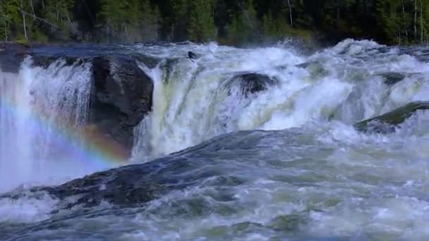 Slow motion video Vattenfallet Ristafallet i västra Jamtland räknas upp som ett av Sveriges vackraste vattenfall. — Stockvideo