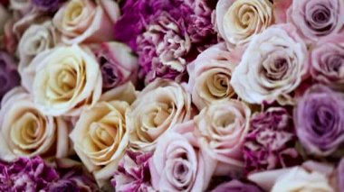 Doğal gül arkaplanı yakın plan