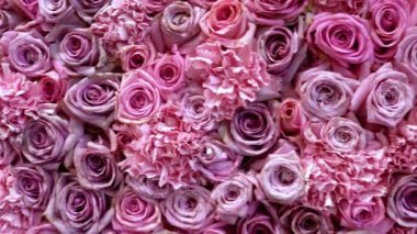 Doğal gül arkaplanı yakın plan