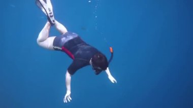 Snorkeler beyin mercanı boyunca dalıyor. Maldivlerdeki mercan kayalıkları