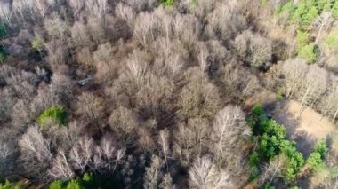 Moskova banliyösü. Kuşların uçuşu manzarası