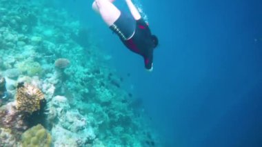 Snorkeler beyin mercanı boyunca dalıyor. Maldivlerdeki mercan kayalıkları