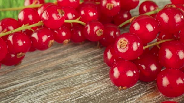 Macro super proche d'un groseille rouge sur une table en bois . — Video