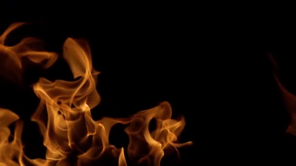 Flames of fire on black background in slow motion — Stock Video