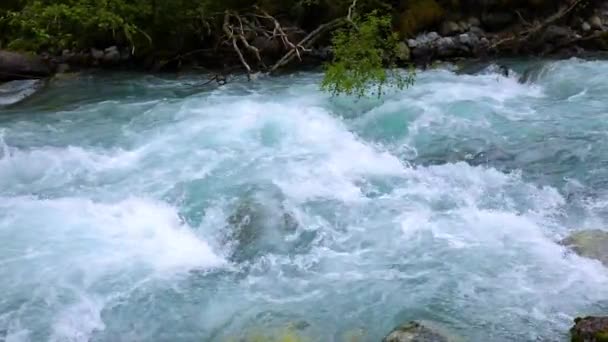 Hegyi folyó víz lassú mozgású közelkép — Stock videók