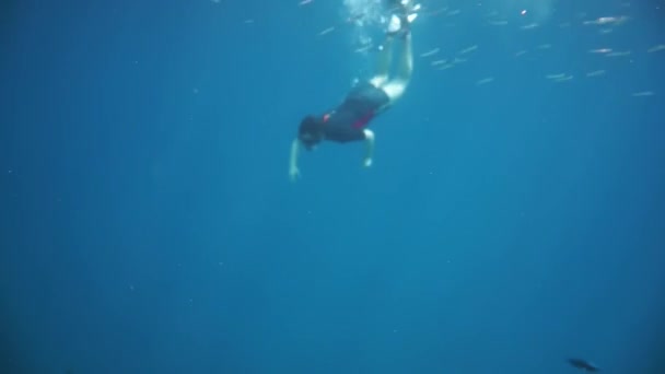 Snorkeler beyin mercanı boyunca dalıyor. Maldivlerdeki mercan kayalıkları — Stok video