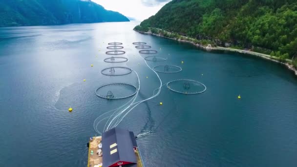 Съёмки с воздуха Рыбалка на ферме лосося в Норвегии — стоковое видео