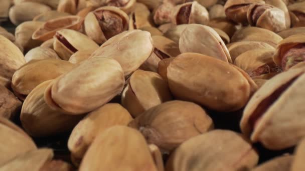 Primer plano de nuez de pistacho. El pistacho, miembro de la familia de los anacardos, es un pequeño árbol originario de Asia Central y Oriente Medio. — Vídeo de stock