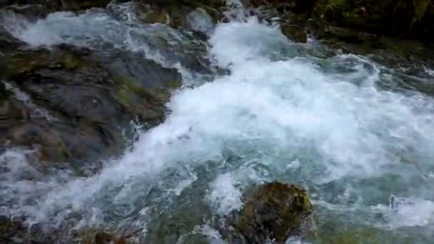 Acqua di fiume di montagna con primo piano al rallentatore — Video Stock