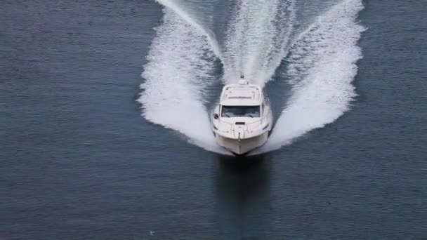 Motor boat rides on the water — Stock Video