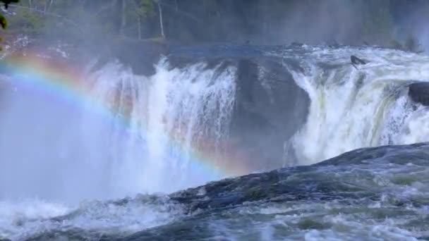 Slow motion video Ristafallet waterval in het westelijke deel van Jamtland staat genoteerd als een van de mooiste watervallen in Zweden. — Stockvideo