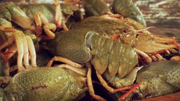 Live crayfish on a wooden table close-up — Stock Video