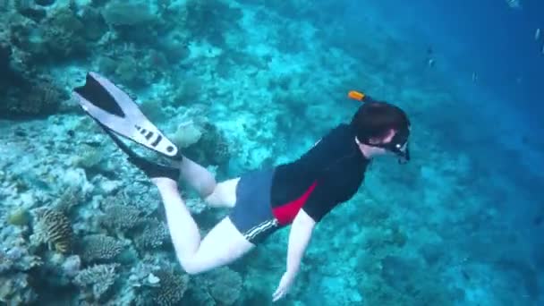 Snorkeler beyin mercanı boyunca dalıyor. Maldivlerdeki mercan kayalıkları — Stok video