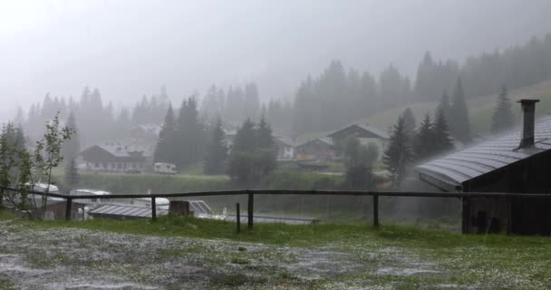 Grote hagel tijdens de zomer onweer. — Stockvideo