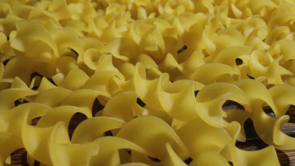 Italiaanse Fusilli pasta close-up. — Stockvideo