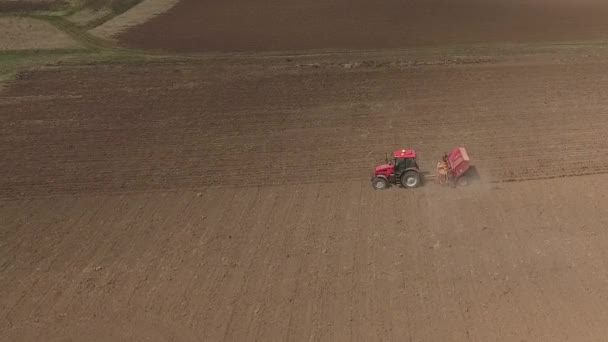 Aérien du tracteur sur le champ de récolte — Video