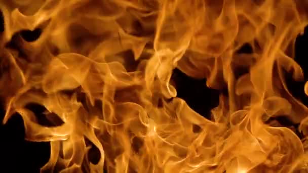 Flammor av eld på svart bakgrund i slow motion — Stockvideo