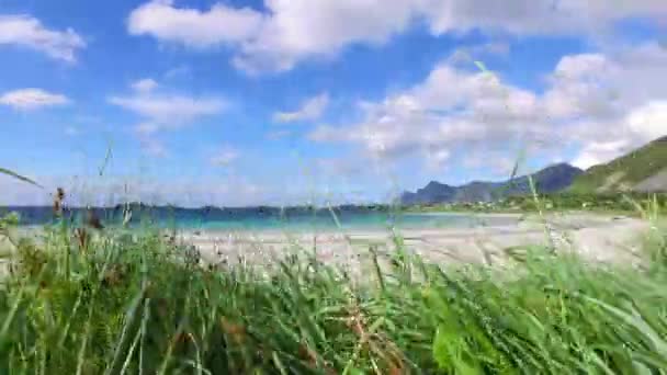 Beach Lofoten adaları Norveç 'in Nordland eyaletinde yer alan bir takımadalardır. Dramatik dağları, tepeleri, açık denizi, korunaklı koyları ve plajları olan kendine özgü bir manzarası var. — Stok video