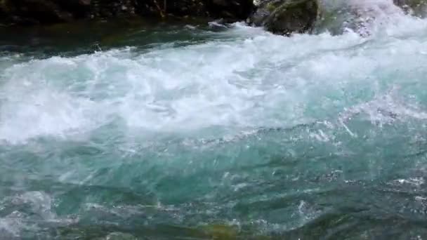 Eau de rivière de montagne au ralenti gros plan — Video