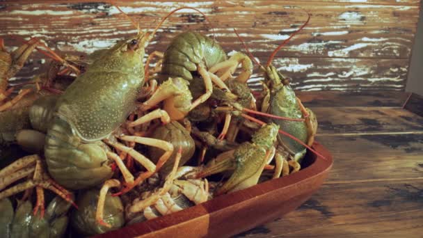 Live crayfish on a wooden table close-up — Stock Video
