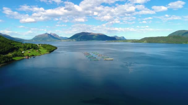 Aerial footage Farm salmon fishing in Norway — Stock Video