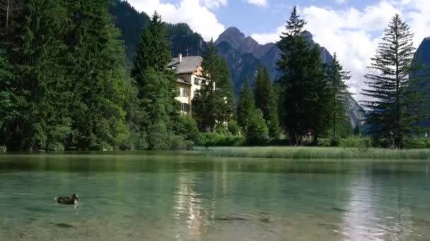 Lake Dobbiaco i Dolomiterna, Vacker natur Italien naturlandskap Alperna. — Stockvideo