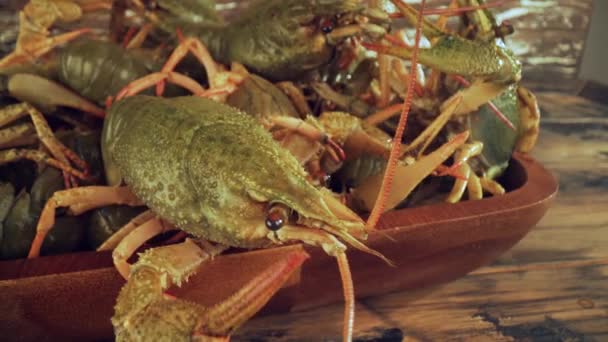 Levende rivierkreeft op een houten tafel close-up — Stockvideo