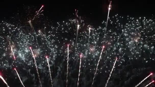 Kleurrijk vuurwerk explodeert in de nachtelijke hemel. Feesten en evenementen in felle kleuren. — Stockvideo