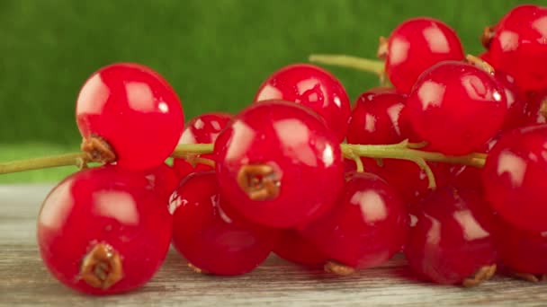 Macro super vicino di un ribes rosso su un tavolo di legno . — Video Stock