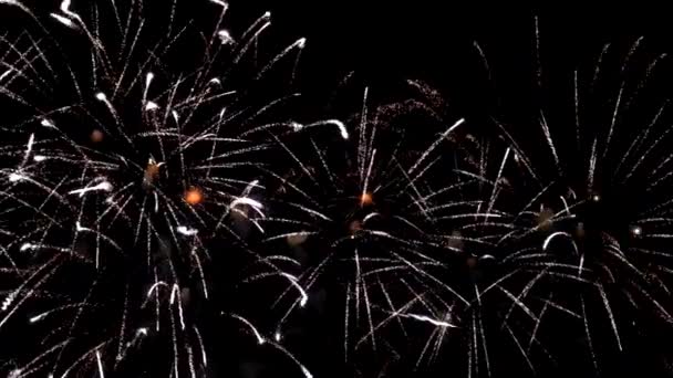 Fuegos artificiales de colores explotando en el cielo nocturno. Fiestas y eventos en colores brillantes . — Vídeo de stock