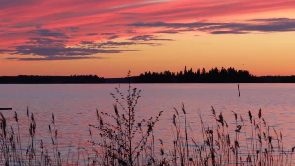 Crimson zonsondergang op de achtergrond van de Botnische Golf Finland — Stockvideo