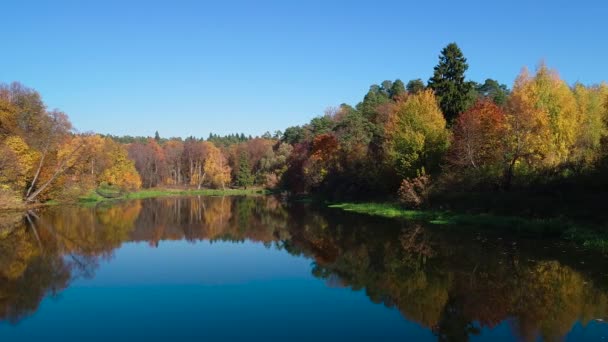 Hutan kayu berwarna musim gugur di danau — Stok Video