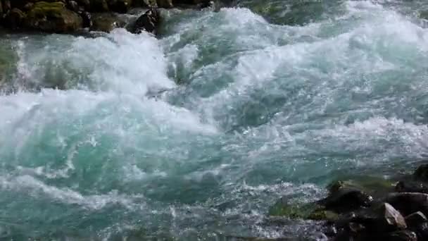 Eau de rivière de montagne au ralenti gros plan — Video