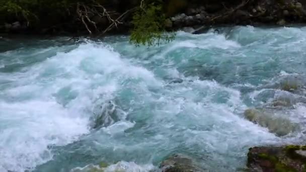 Mountain flod vatten med slow motion närbild. Norge vacker natur. — Stockvideo