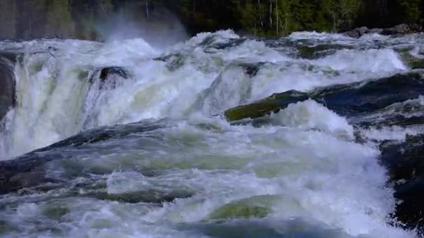 Slow motion video Ristafallet waterfall in the western part of Jamtland is listed as one of the most beautiful waterfalls in Sweden. — Stock Video