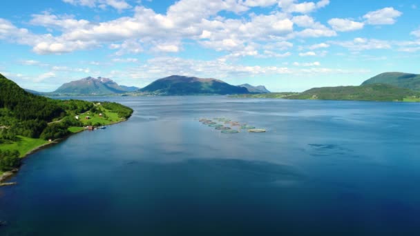 Imágenes aéreas Granja de salmón de pesca en Noruega. Vuelos aéreos de aviones no tripulados FPV . — Vídeos de Stock